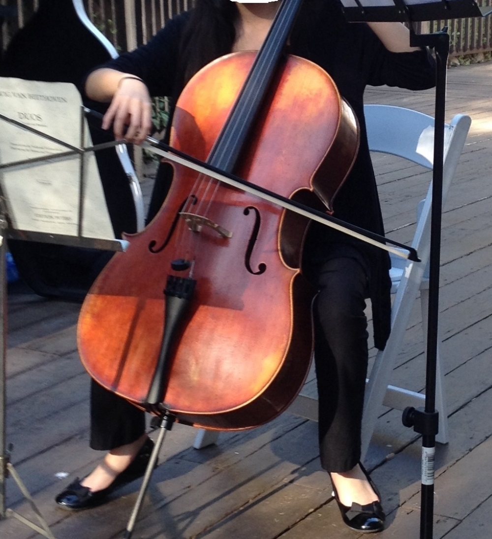 Cello picture